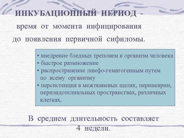 ИНКУБАЦИОННЫЙ ПЕРИОД время от момента инфицирования до появления первичной сифиломы. • внедрение бледных трепонем