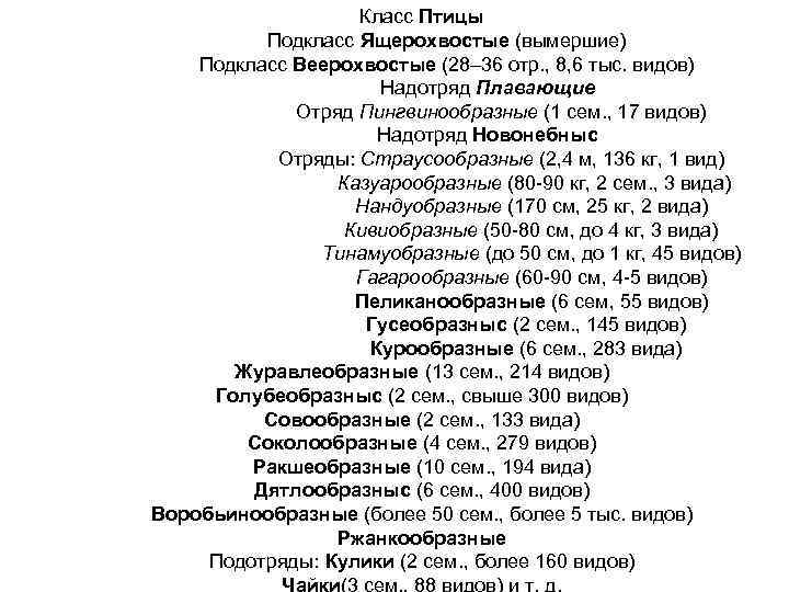 Класс Птицы Подкласс Ящерохвостые (вымершие) Подкласс Веерохвостые (28– 36 отр. , 8, 6 тыс.