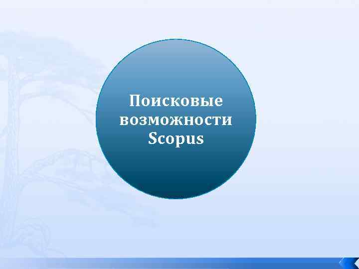 Поисковые возможности Scopus 