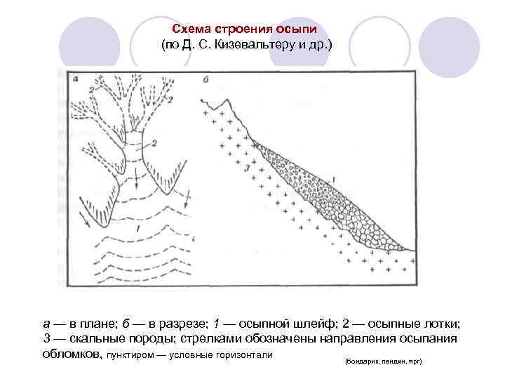 Схема строения осыпи (по Д. С. Кизевальтеру и др. ) а — в плане;