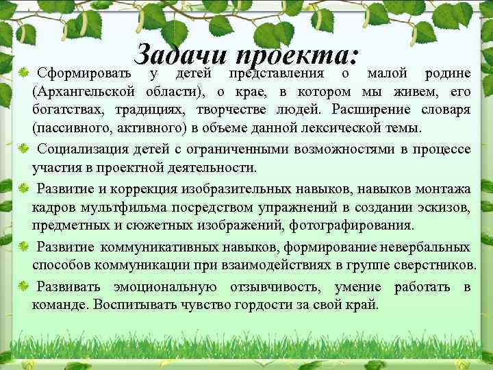 Задачи представления о малой проекта: Сформировать у детей родине (Архангельской области), о крае, в