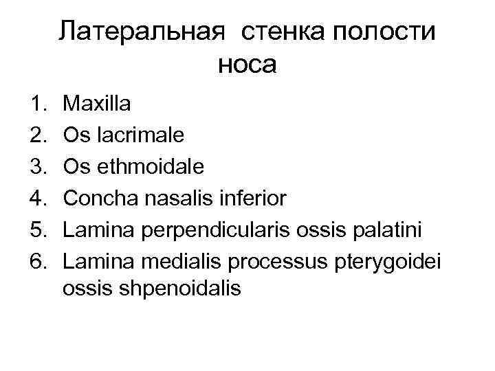 Латеральная стенка полости носа 1. 2. 3. 4. 5. 6. Maxilla Os lacrimale Os