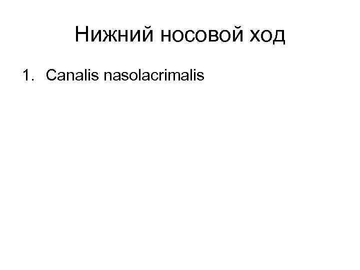 Нижний носовой ход 1. Canalis nasolacrimalis 