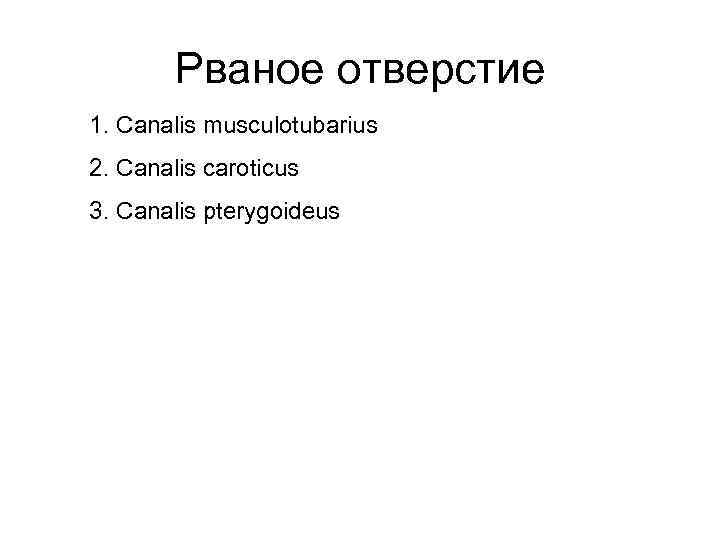 Рваное отверстие 1. Canalis musculotubarius 2. Canalis caroticus 3. Canalis pterygoideus 