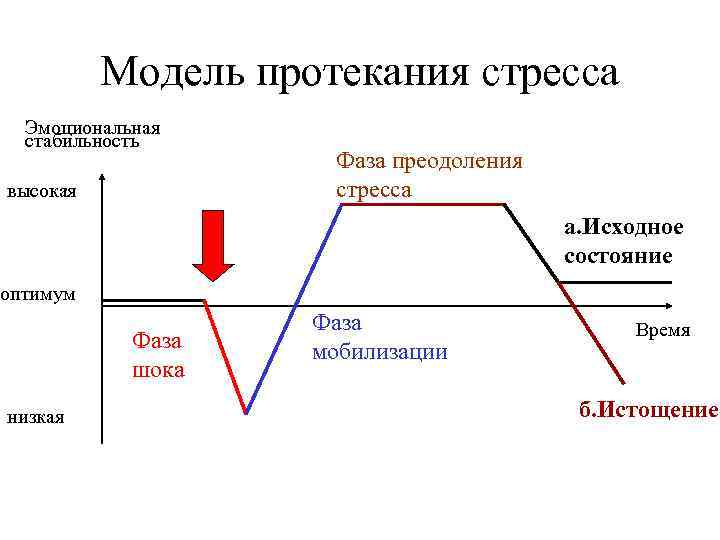 Схема протекания культурного шока