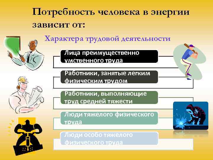 Потребность человека в энергии зависит от: Характера трудовой деятельности Лица преимущественно умственного труда Работники,