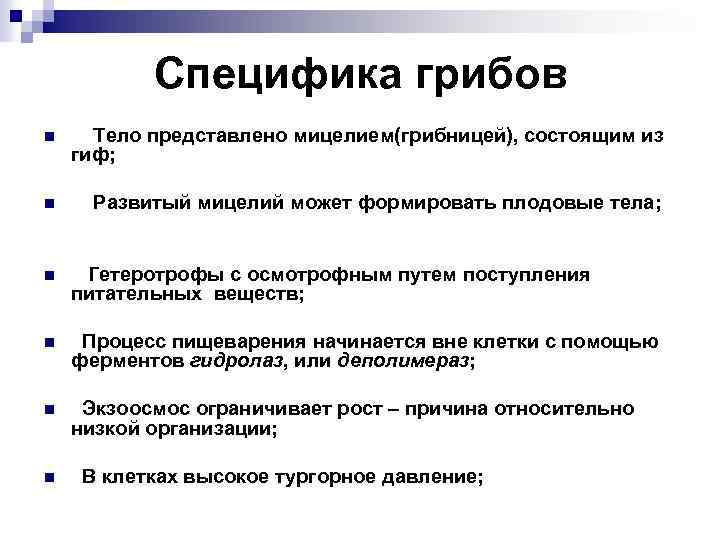 Специфика грибов n Тело представлено мицелием(грибницей), состоящим из гиф; n Развитый мицелий может формировать
