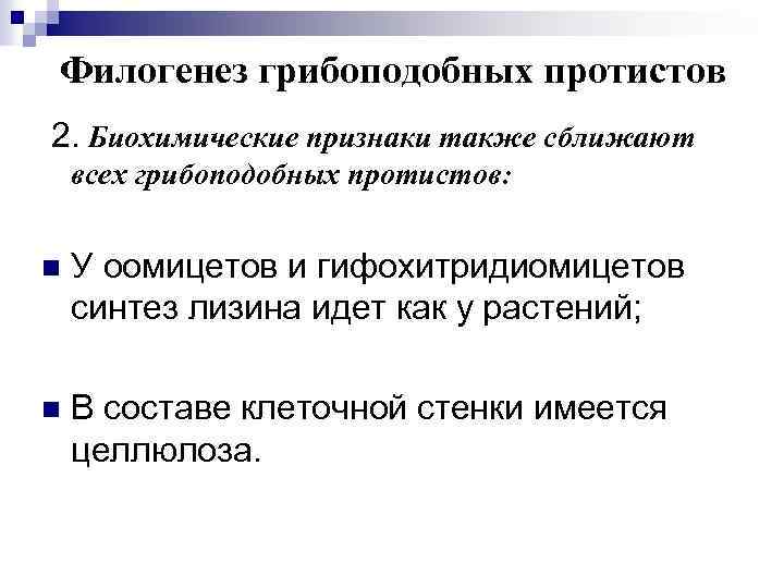 Филогенез грибоподобных протистов 2. Биохимические признаки также сближают всех грибоподобных протистов: n У оомицетов