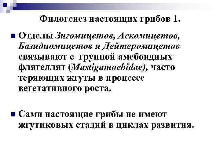 Филогенез настоящих грибов 1. n Отделы Зигомицетов, Аскомицетов, Базидиомицетов и Дейтеромицетов связывают с группой