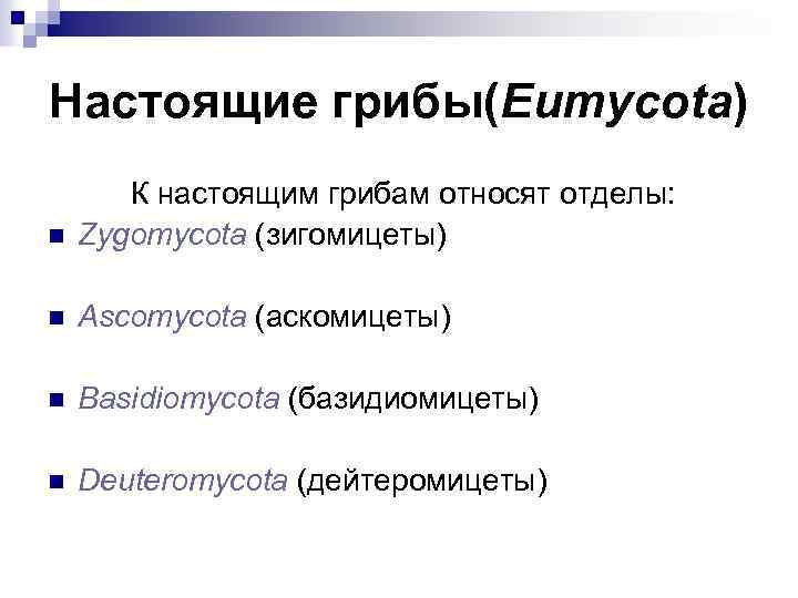 Настоящие грибы(Eumycota) n К настоящим грибам относят отделы: Zygomycota (зигомицеты) n Ascomycota (аскомицеты) n