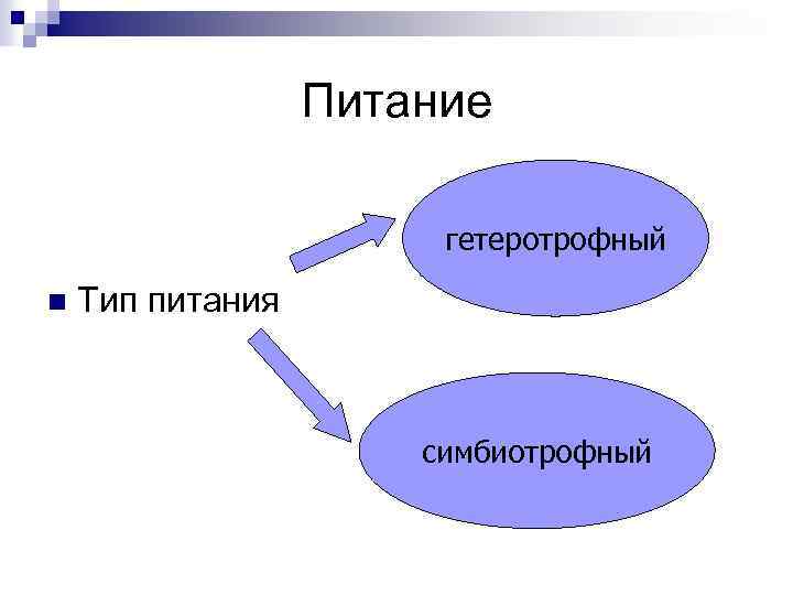 3 типа гетеротрофного питания