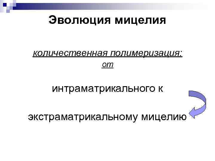 Эволюция мицелия количественная полимеризация: от интраматрикального к экстраматрикальному мицелию 