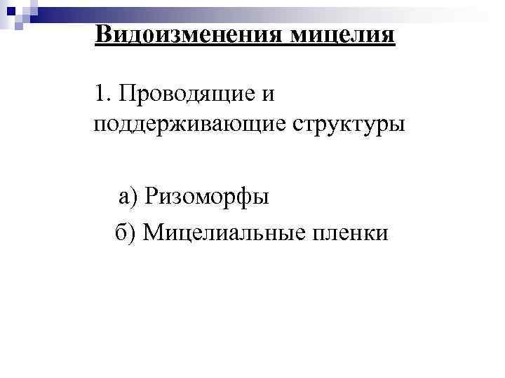 Видоизменения мицелия 1. Проводящие и поддерживающие структуры а) Ризоморфы б) Мицелиальные пленки 