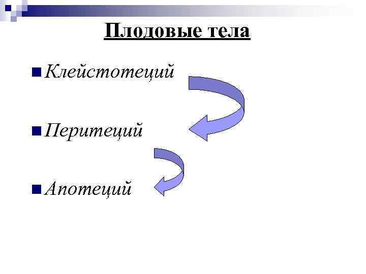 Плодовые тела n Клейстотеций n Перитеций n Апотеций 
