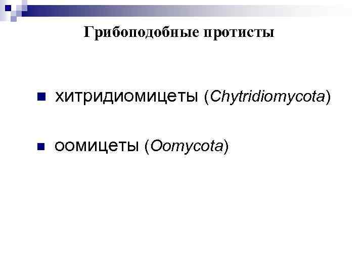 Грибоподобные протисты n хитридиомицеты (Chytridiomycota) n оомицеты (Oomycota) 