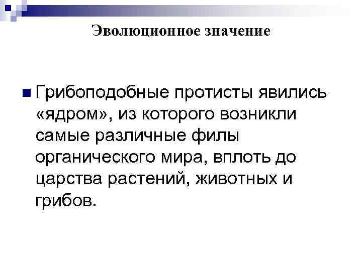 Эволюционное значение n Грибоподобные протисты явились «ядром» , из которого возникли самые различные филы