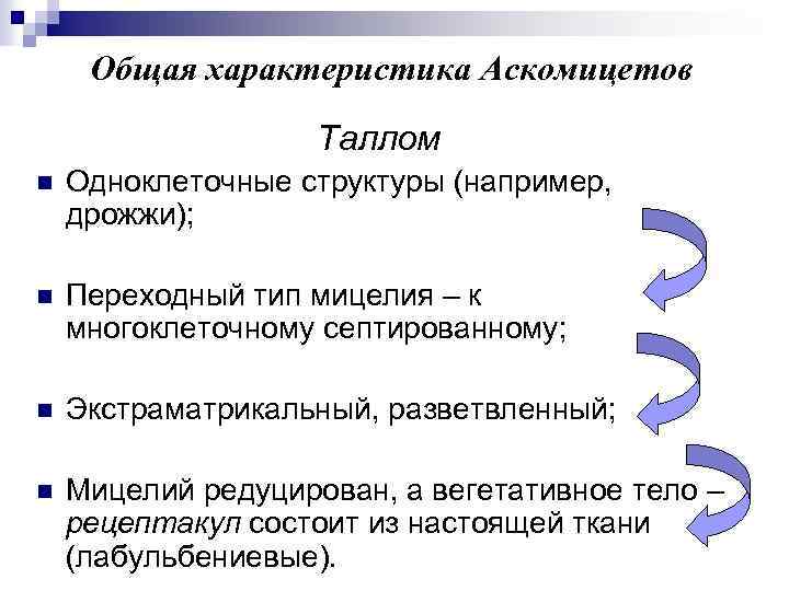 Общая характеристика Аскомицетов Таллом n Одноклеточные структуры (например, дрожжи); n Переходный тип мицелия –