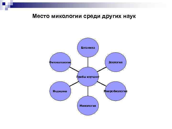 Место микологии среди других наук Ботаника Зоология Фитопатология Грибы изучают Микробиология Медицина Микология 