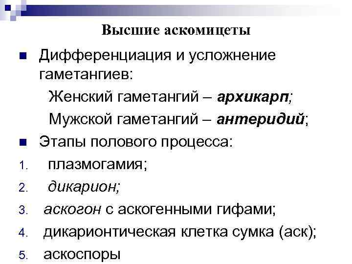 Высшие аскомицеты n n 1. 2. 3. 4. 5. Дифференциация и усложнение гаметангиев: Женский