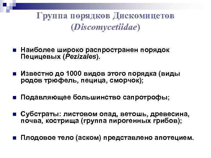 Группа порядков Дискомицетов (Discomycetiidae) n Наиболее широко распространен порядок Пецицевых (Pezizales). n Известно до