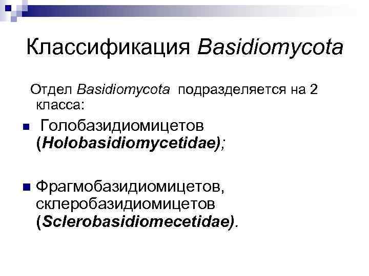 Классификация Basidiomycota Отдел Basidiomycota подразделяется на 2 класса: n Голобазидиомицетов (Holobasidiomycetidae); n Фрагмобазидиомицетов, склеробазидиомицетов