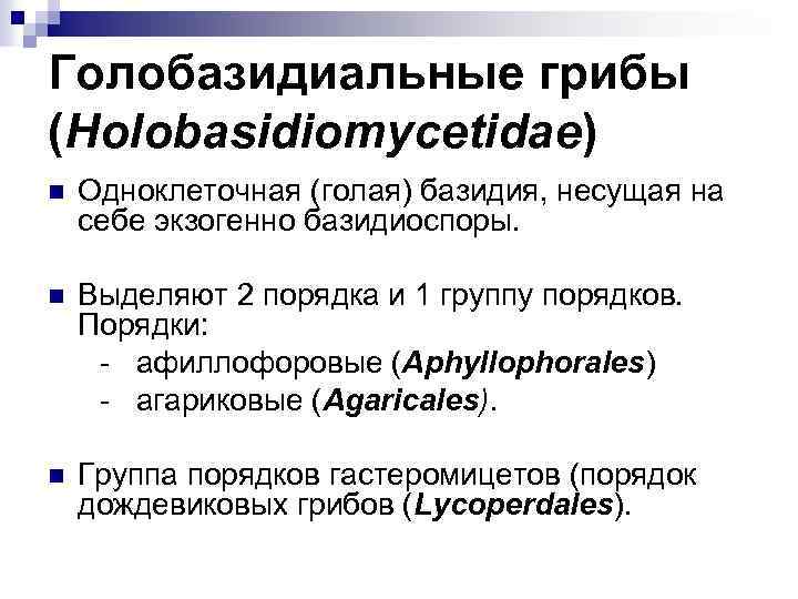 Голобазидиальные грибы (Holobasidiomycetidae) n Одноклеточная (голая) базидия, несущая на себе экзогенно базидиоспоры. n Выделяют