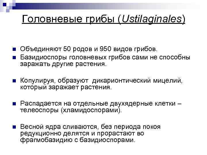 Головневые грибы (Ustilaginales) n n Объединяют 50 родов и 950 видов грибов. Базидиоспоры головневых