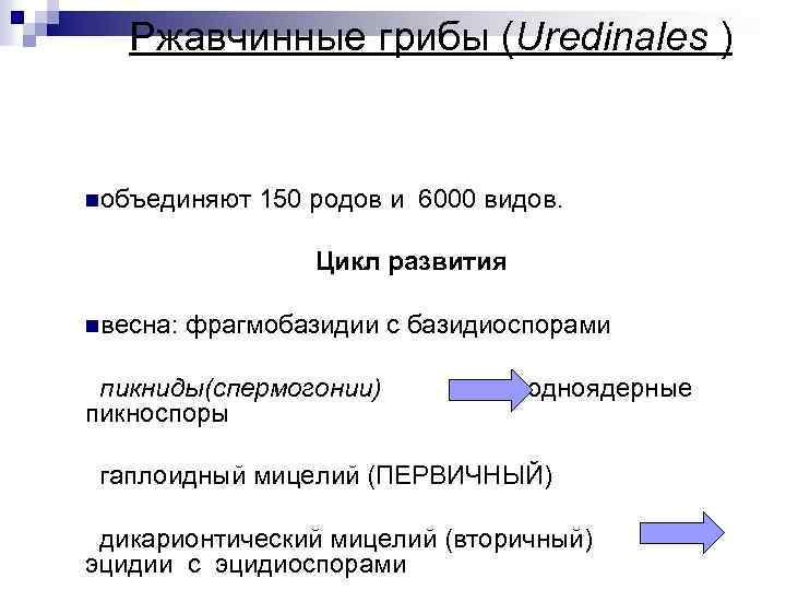 Ржавчинные грибы (Uredinales ) nобъединяют 150 родов и 6000 видов. Цикл развития nвесна: фрагмобазидии
