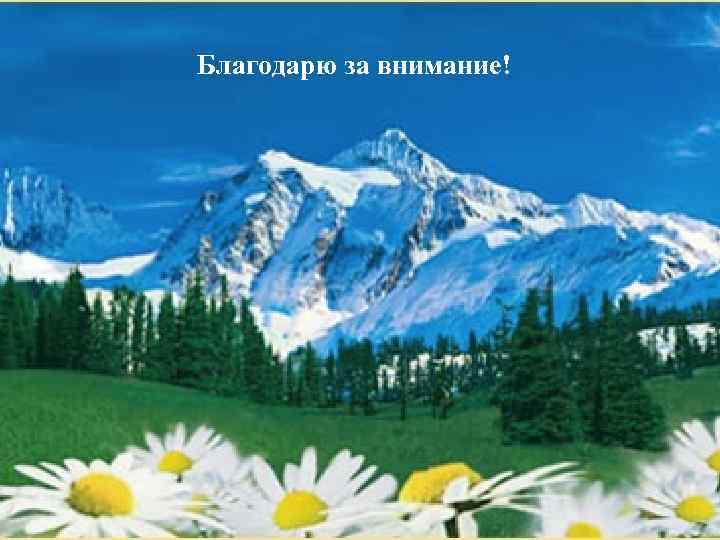 Благодарю за внимание! 