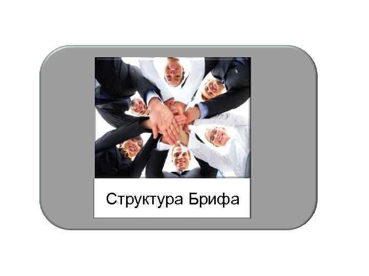Структура Брифа 