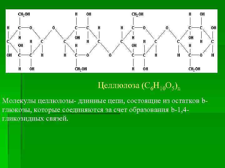 Целлюлоза (С 6 Н 10 О 5)n Молекулы целлюлозы- длинные цепи, состоящие из остатков