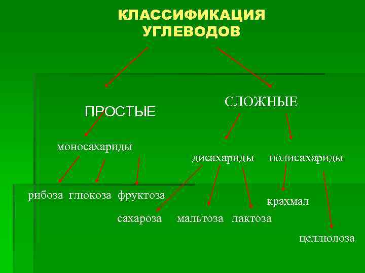 Природные органические вещества