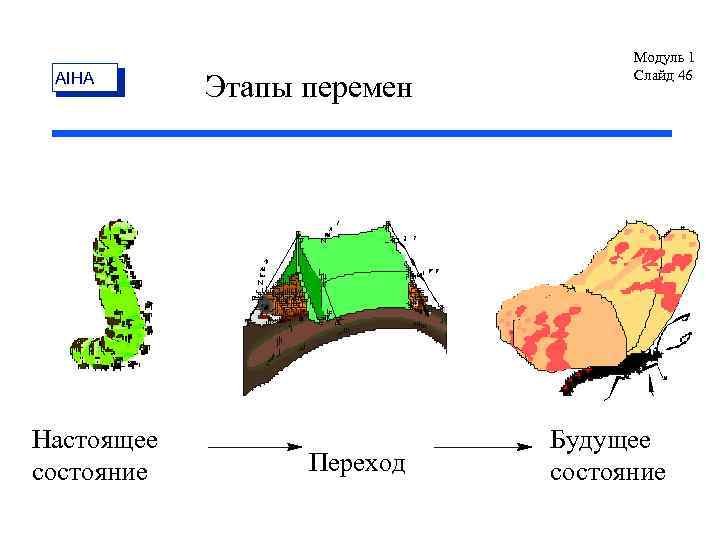 AIHA Настоящее состояние Этапы перемен Переход Модуль 1 Слайд 46 Будущее состояние 