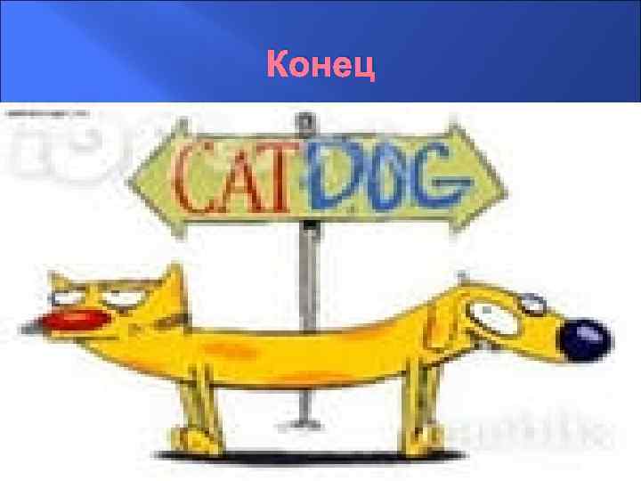 Конец 