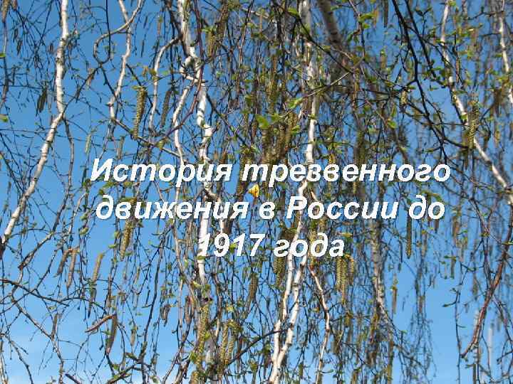История трезвенного движения в России до 1917 года 