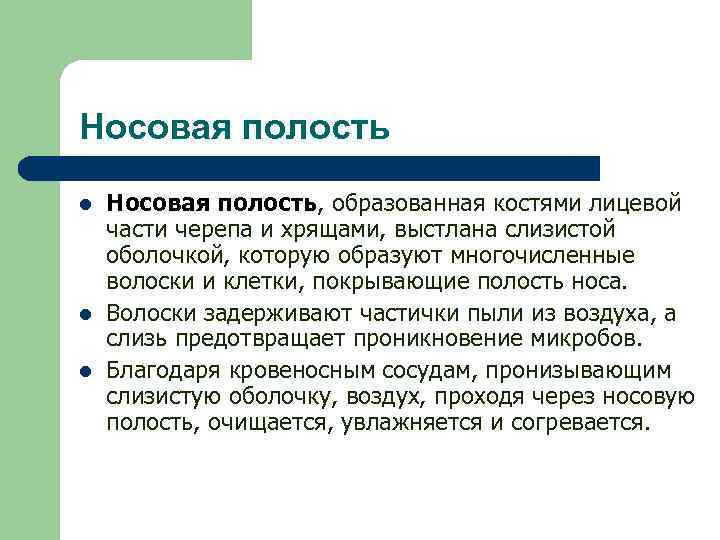 Носовая полость l l l Носовая полость, образованная костями лицевой части черепа и хрящами,