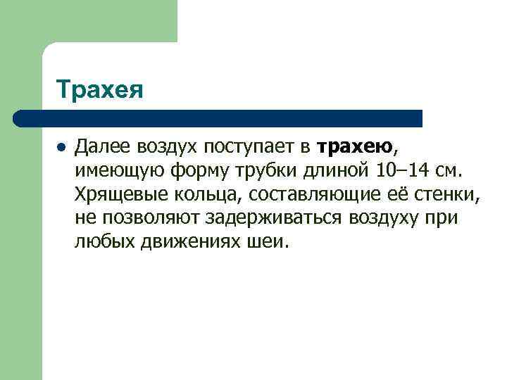 Трахея l Далее воздух поступает в трахею, имеющую форму трубки длиной 10– 14 см.