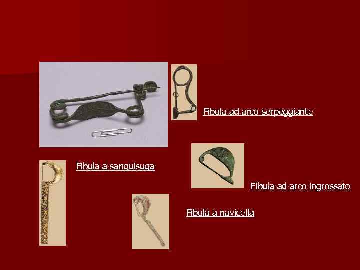 Fibula ad arco serpeggiante Fibula a sanguisuga Fibula ad arco ingrossato Fibula a navicella