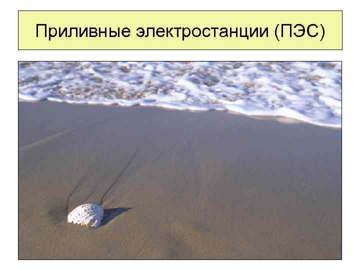 Приливные электростанции (ПЭС) 
