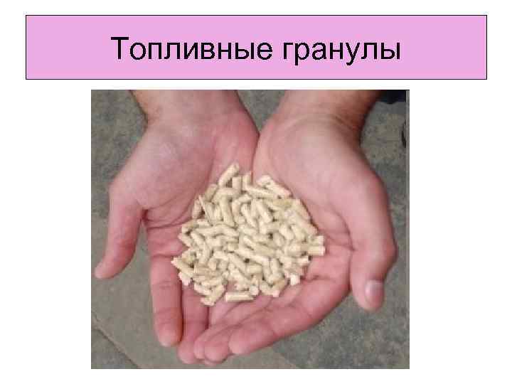 Топливные гранулы 