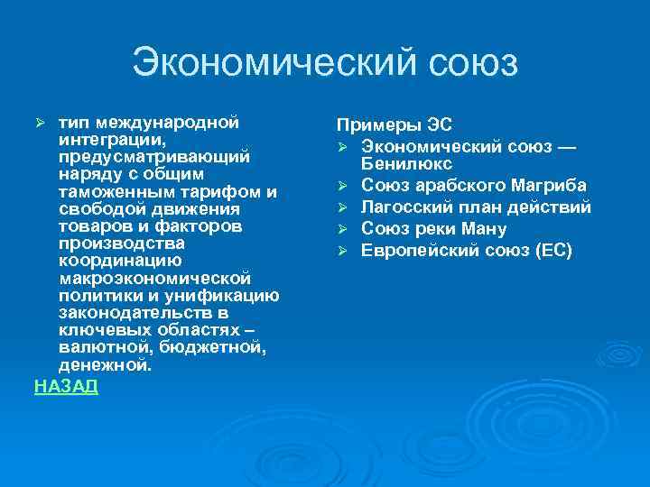 Экономический союз тип международной интеграции, предусматривающий наряду с общим таможенным тарифом и свободой движения