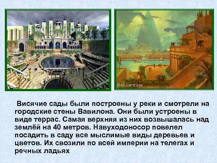 Висячие сады были построены у реки и смотрели на городские стены Вавилона. Они были