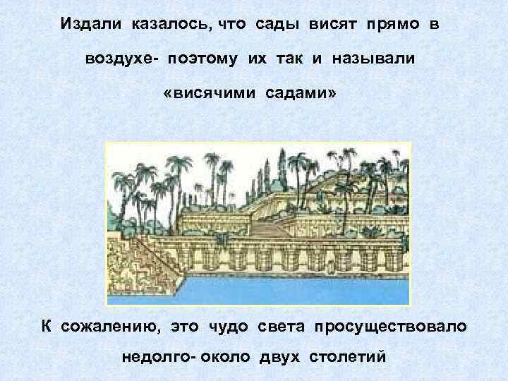 Издали казалось, что сады висят прямо в воздухе- поэтому их так и называли «висячими