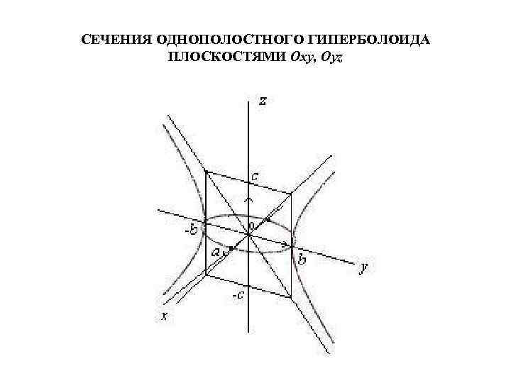 СЕЧЕНИЯ ОДНОПОЛОСТНОГО ГИПЕРБОЛОИДА ПЛОСКОСТЯМИ Oxy, Oyz 