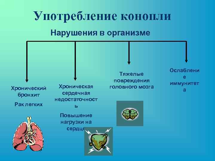Употребление конопли Нарушения в организме Хронический бронхит Рак легких Хроническая сердечная недостаточност ь Повышение