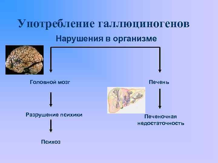 Употребление галлюциногенов Нарушения в организме Головной мозг Разрушение психики Психоз Печень Печеночная недостаточность 
