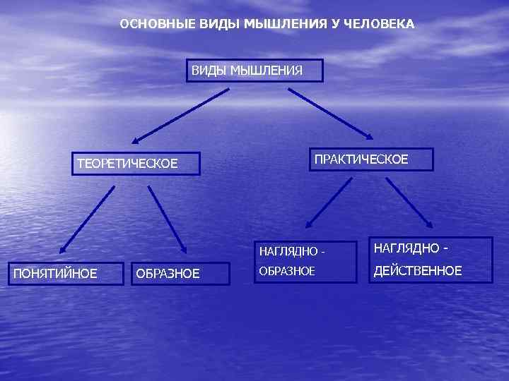 ОСНОВНЫЕ ВИДЫ МЫШЛЕНИЯ У ЧЕЛОВЕКА ВИДЫ МЫШЛЕНИЯ ТЕОРЕТИЧЕСКОЕ ПРАКТИЧЕСКОЕ НАГЛЯДНО - ПОНЯТИЙНОЕ ОБРАЗНОЕ НАГЛЯДНО