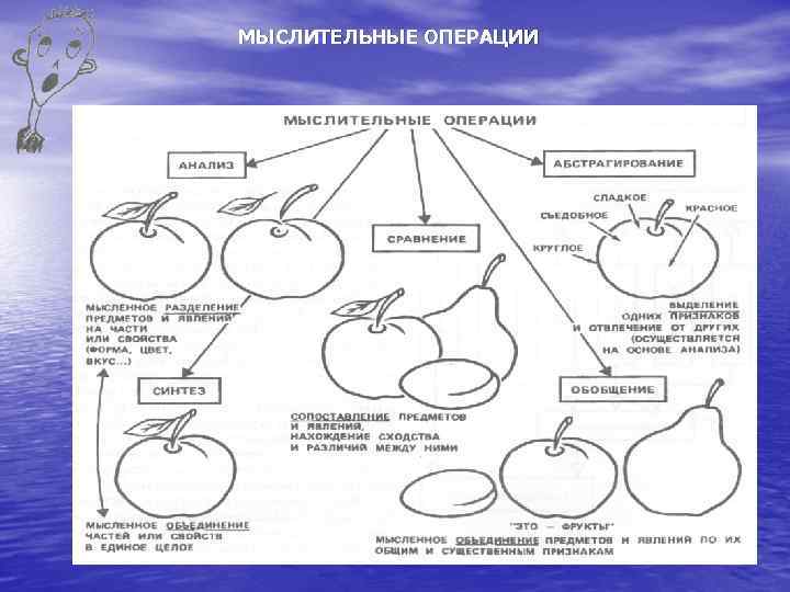 МЫСЛИТЕЛЬНЫЕ ОПЕРАЦИИ 