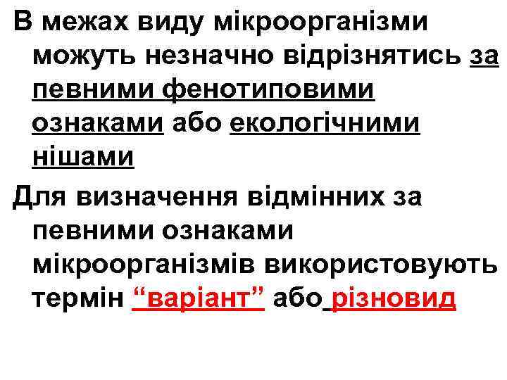 В межах виду мікроорганізми можуть незначно відрізнятись за певними фенотиповими ознаками або екологічними нішами