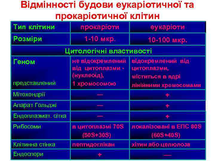 Відмінності будови еукаріотичної та прокаріотичної клітин Тип клітини прокаріоти 1 -10 мкр. Розміри еукаріоти